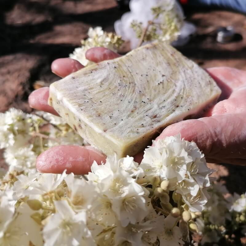 All-Natural-Cold Process Soap - Hibiscus-Soaps-Beachroad Skin Care